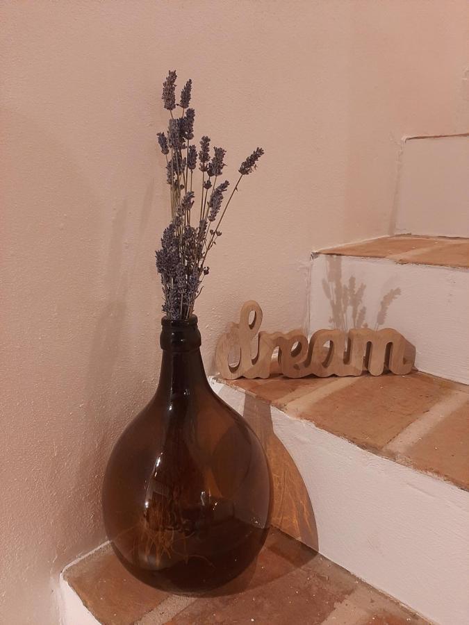 プレマントゥーラCasa Nonna Terezaアパートメント エクステリア 写真